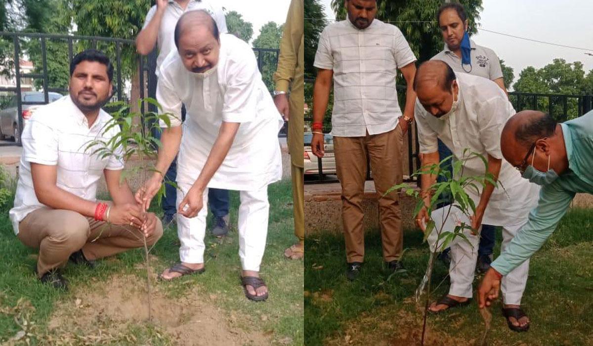 గ్రీన్ ఇండియా ఛాలెంజ్.. మొక్కలు నాటిన ఎంపీ బీపీ సరోజ్