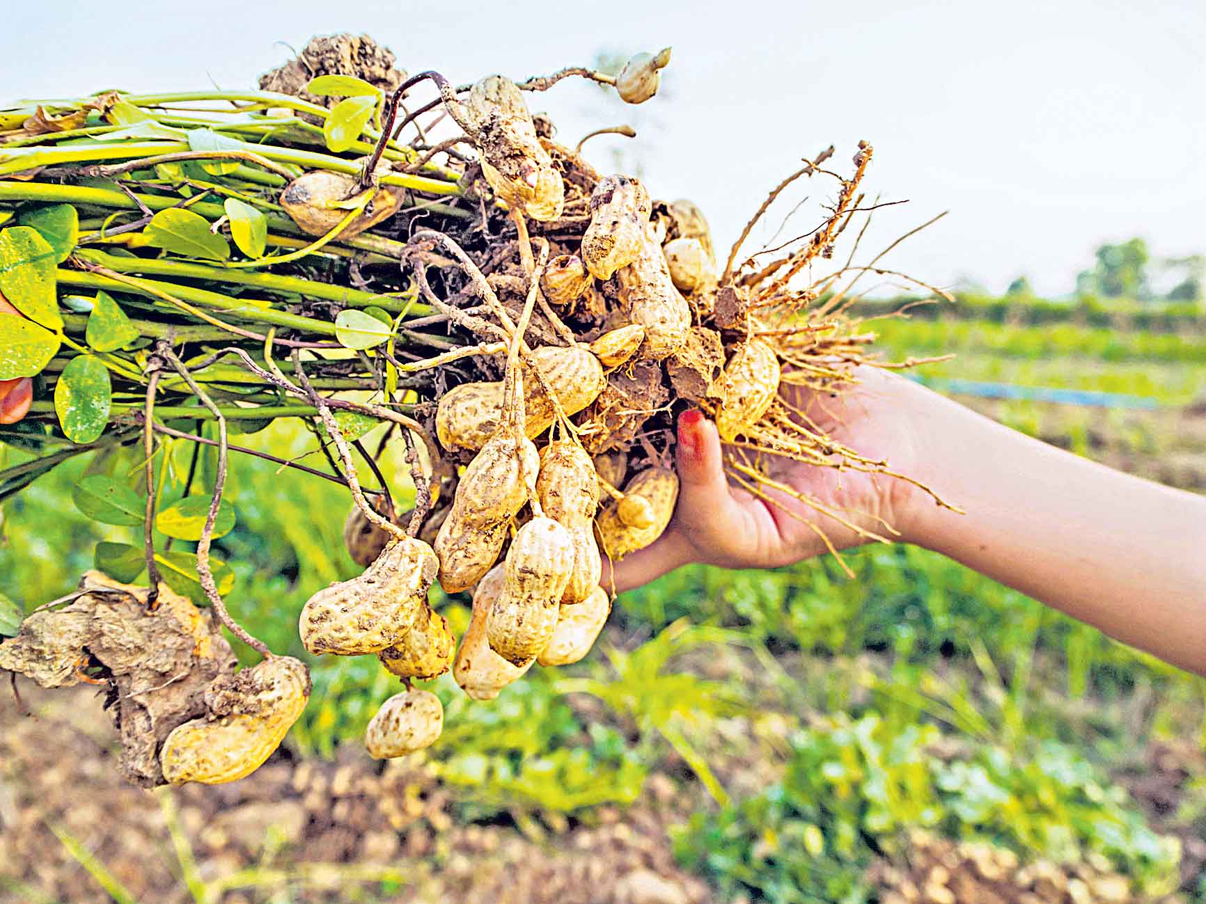 కమ్మపల్లి ఏటా పల్లి