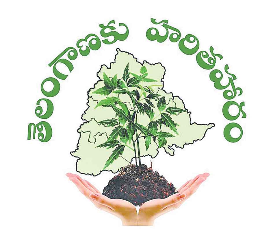 అడుగుదూరంలో హరిత లక్ష్యం