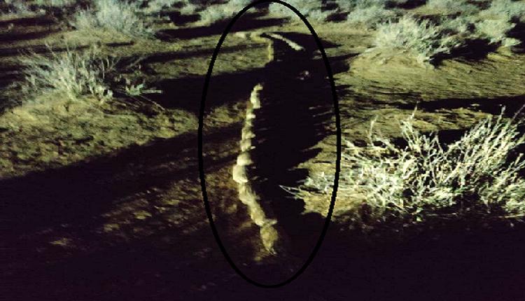 రూ.275 కోట్ల విలువైన హెరాయిన్‌ పట్టివేత