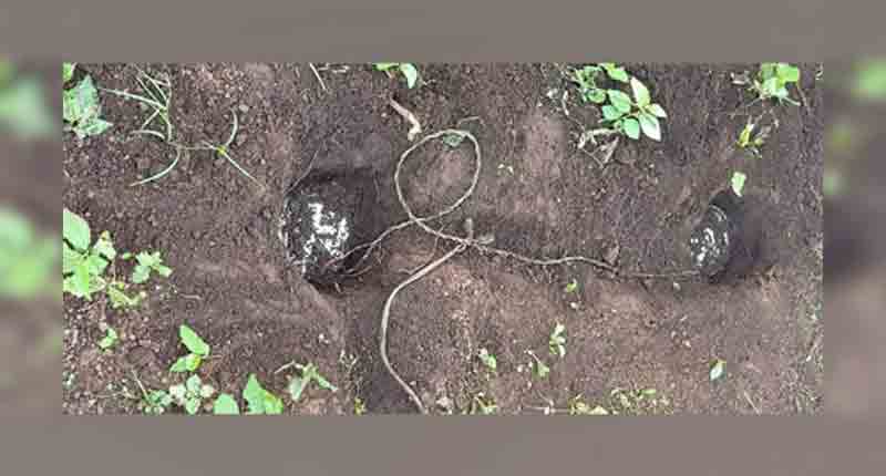 ఏఓబీలో రెండు ఐఈడీలు స్వాధీనం