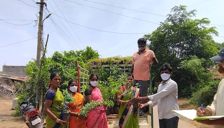 మొక్కల పెంపకాన్ని సామాజిక బాధ్యతగా చేపట్టాలి