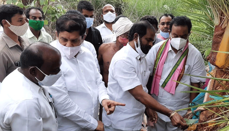 కులవృత్తులకు పూర్వవైభవం