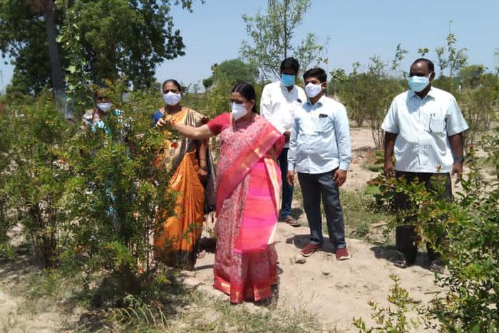 ఉపాధి కూలీలకు డబ్బులు చెల్లిస్తాం..