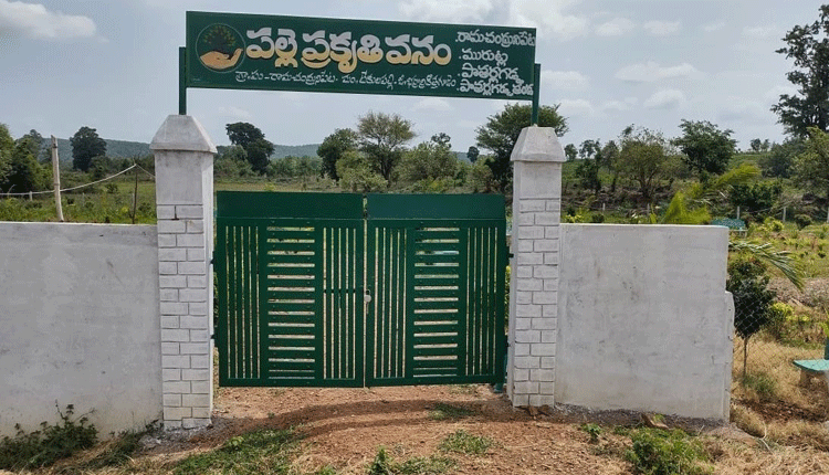 రామచంద్రునిపేట  అభివృద్ధి బాట