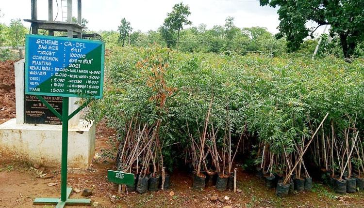 హరిత ‘కోటి’కి జై !