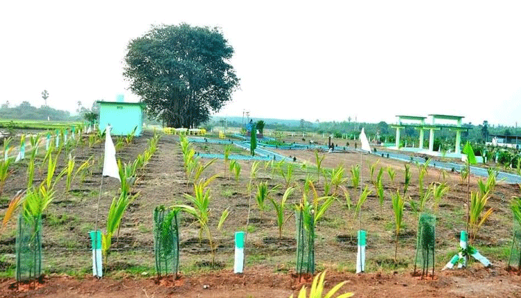 నూకాలంపాడుకు రాష్ట్రస్థాయిలో గుర్తింపు