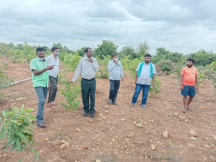 హరితహారానికి మొక్కలను సిద్ధంగా ఉంచాలి