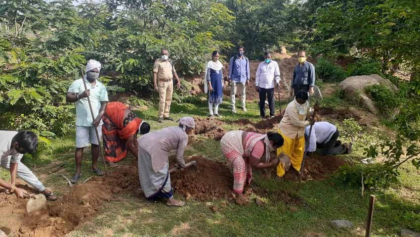 ఇంటింటికీ మొక్కలను పంపిణీ చేయాలి