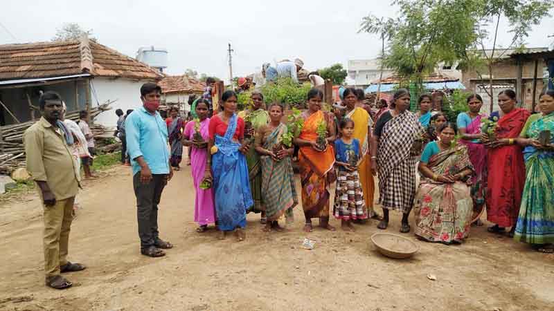 ఇంటింటికీ మొక్కల పంపిణీ