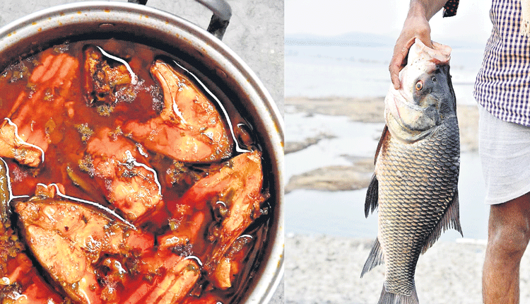 మృగశిర.. చేపల కూర