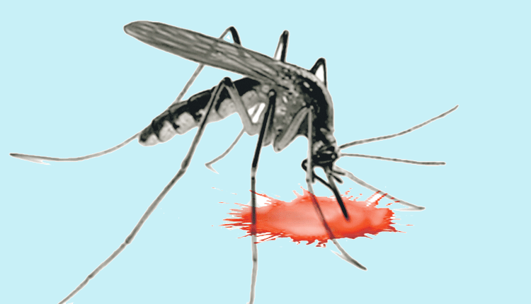 సీజనల్‌ వ్యాధులపై సమరం