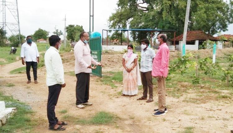 హరితహారానికి మొక్కలు సిద్ధం చేయాలి