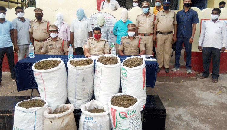 జీవితాలను నాశనం చేసుకోవద్దు