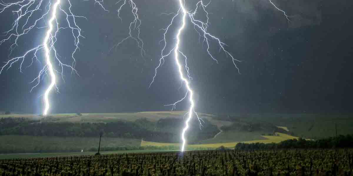 సెల్‌ సిగ్నల్‌ కోసం చెట్టెక్కిన పిల్లలు.. పిడుగుపడి ఒకరి మృతి