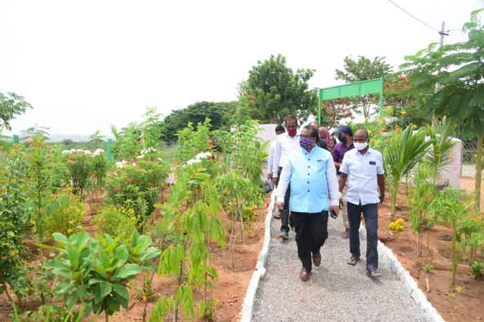 ప్రజలకు అందుబాటులో ప్రకృతి వనాలు