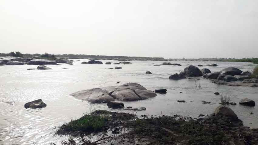 భీమాతో ధీమా!