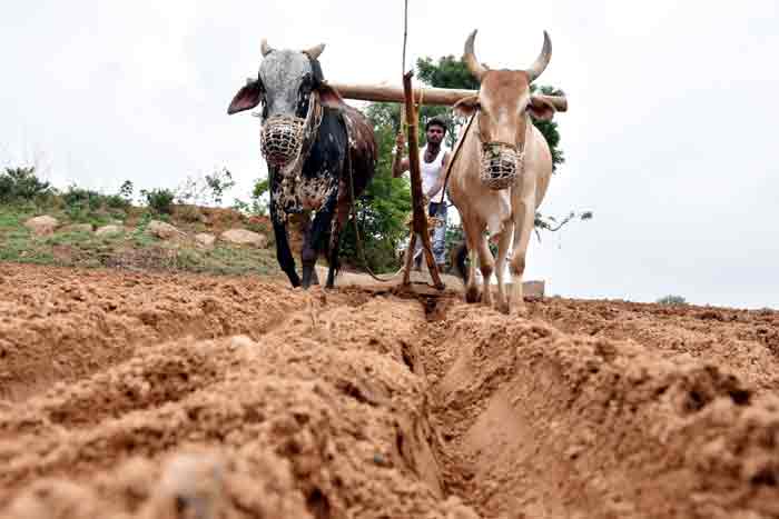 అన్నదాతకు సర్కారు అండ