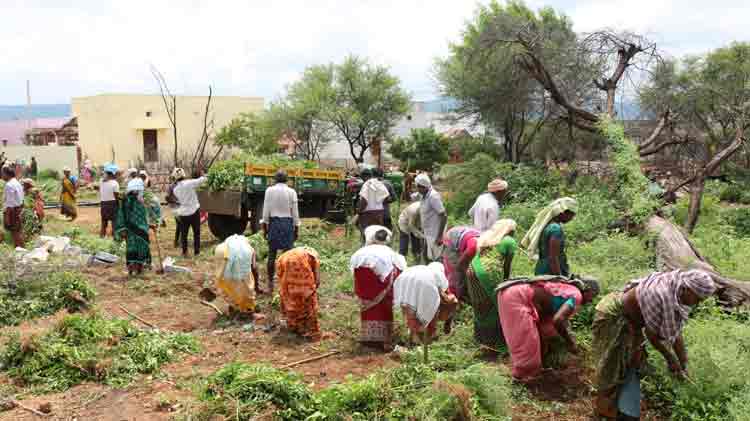పల్లె మెరిసేలా.. పట్నం మురిసేలా