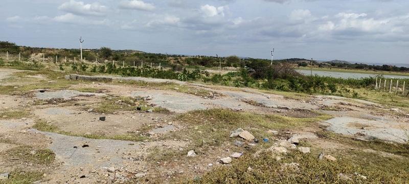 బండరాయిపై …ప్రకృతి వనం!