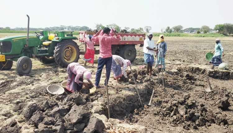 చెరువు మట్టి..పుడమికి పుష్టి