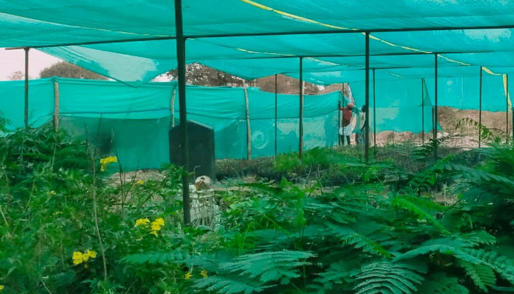 హరితహారానికి పంచాయతీలు సిద్ధం