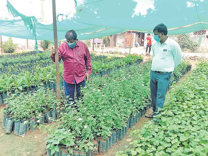 ఏడో విడత హరితహారానికి సిద్ధం