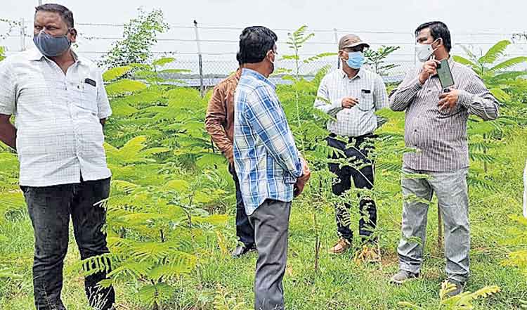 పల్లె పల్లెకూ ప్రకృతి వనం