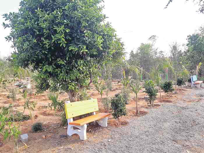 గాజిరెడ్డిపల్లి.. ప్రత్యేక ప్రగతి