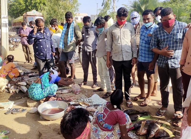 జిల్లాలో మృగశిర సందడి