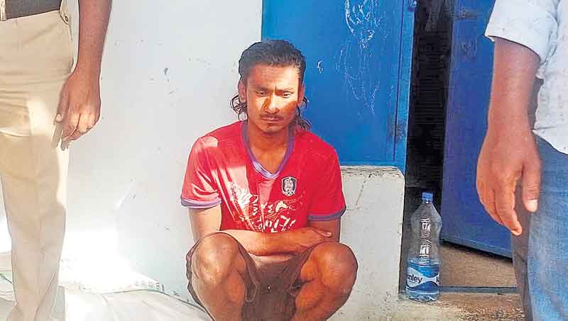 మాంసం కోసం దుశ్చర్య