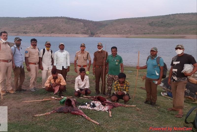 నల్లమలలో వేటగాళ్లు