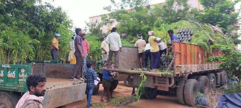 హరితహారానికి ఏర్పాట్లు పూర్తి