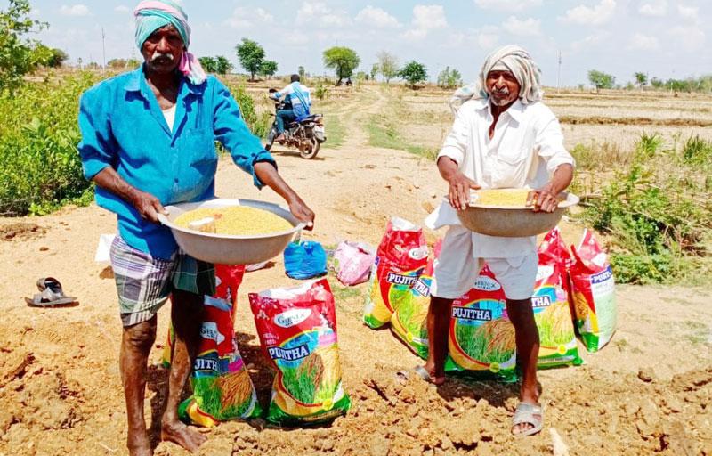 సిరులు కురిపిస్తున్న సన్నాలు