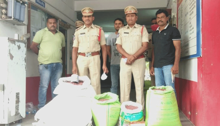 నకిలీ పత్తి విత్తనాలు పట్టివేత