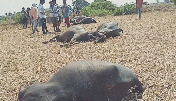 ‘కరెంట్‌’తో  జాగ్రత్త