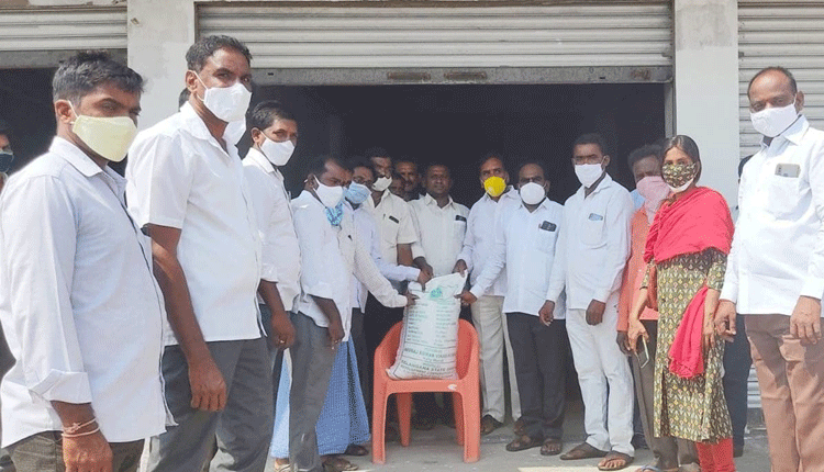 పంటకు జీవం.. పచ్చిరొట్ట