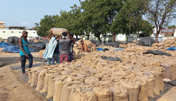 జొన్నకు మద్దతు