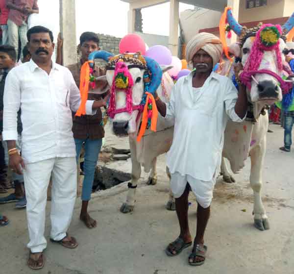 ఘనంగా ఏరువాక పౌర్ణమి