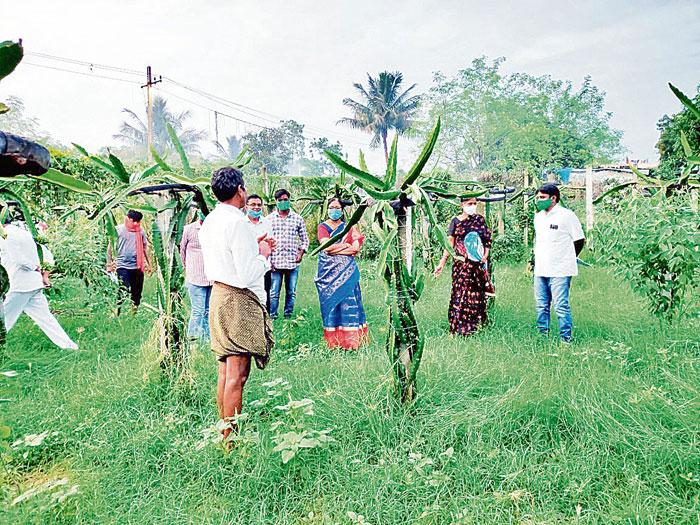 ఇందూర్‌లో డ్రాగన్‌