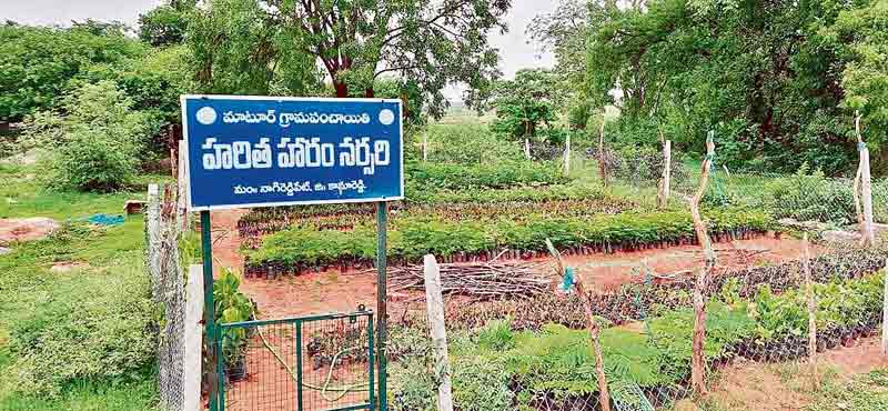 మెరిసిన మాటూర్