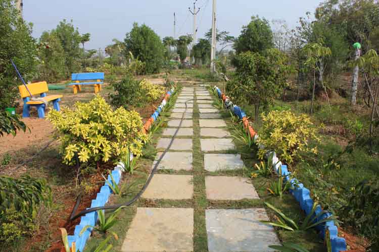 ‘ప్రగతి’ పండుగ