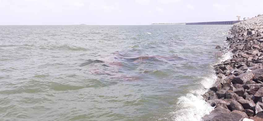 ఆశాజనకం