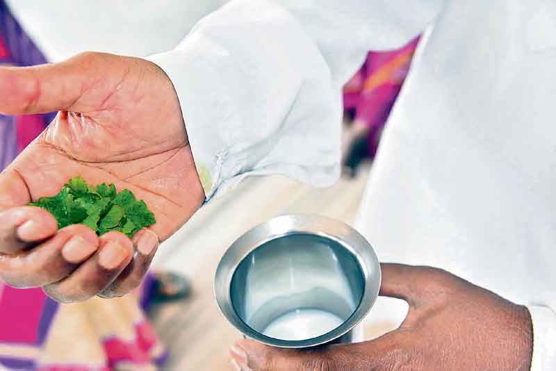 మూలమెరిగి మూలికా వైద్యం