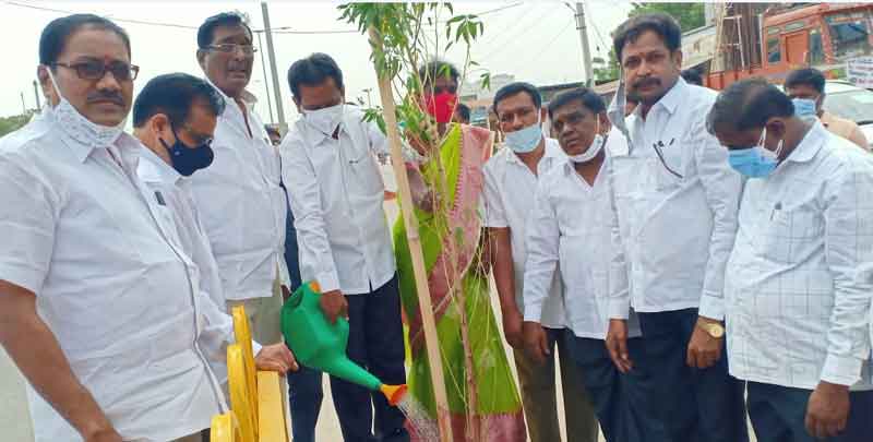 భవిష్యత్‌ తరాల కోసం మొక్కలు నాటాలి