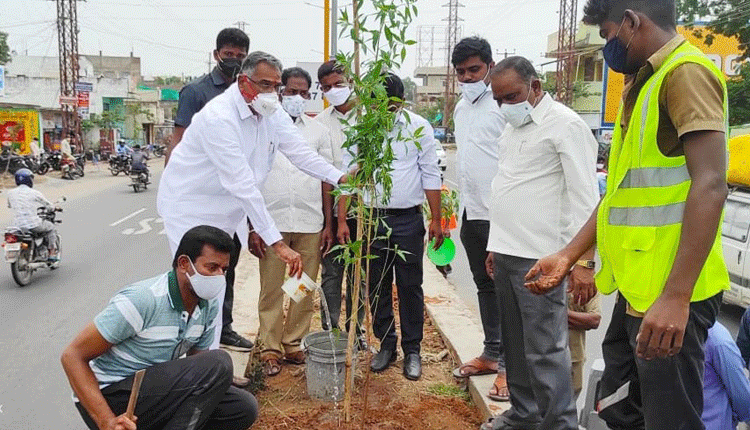 హరిత పెద్దపల్లిగా తీర్చిదిద్దుతాం