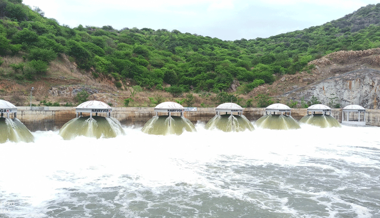 జల సోయగం