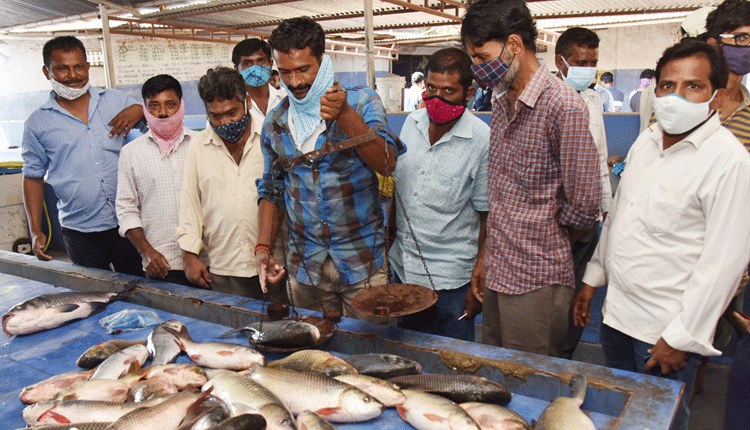 చేపలకు ఫుల్‌ గిరాకీ