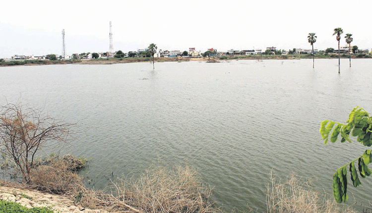 చూడచక్కని గిద్ద చెరువు