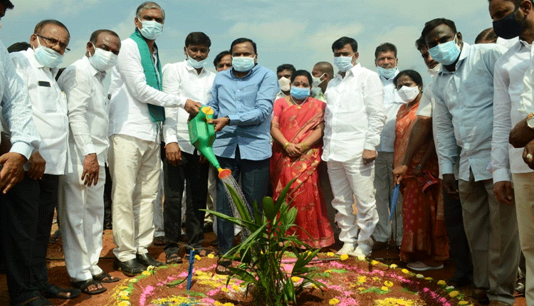 పామాయిల్‌కు మార్కెట్‌లో మంచి డిమాండ్‌: మంత్రి హ‌రీశ్‌